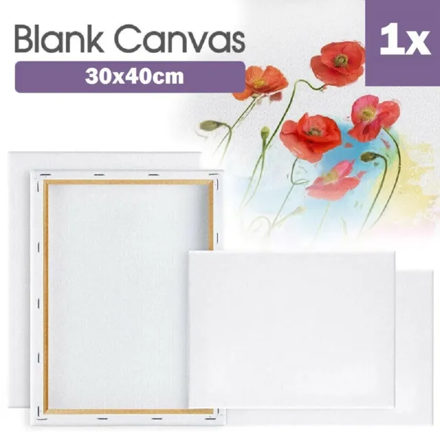 Blank Painting Canvas Artist Stretched Canvases White Wood Art Oil Acrylic Paint