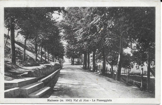Cartolina Trento 1931 Valle Di Non Fondo Malosco Bolzano