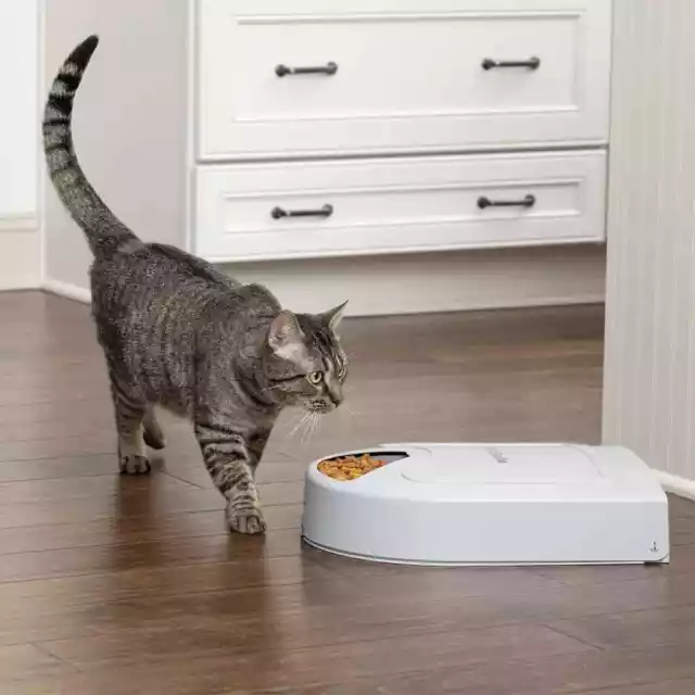 Comedero para mascotas 5 comidas Eatwell con temporizador gris PetSafe vidaXL