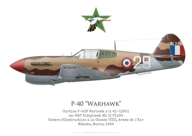 Print P-40F Warhawk, Armée de l'Air, CIC Meknès, 1944 (by G. Marie)