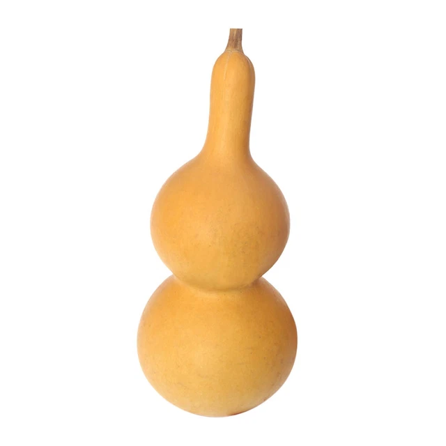 Trockenkürbis Chinesischer Kürbis Flasche Tisch Mittelstück Anhänger Dekor 20-25 cm