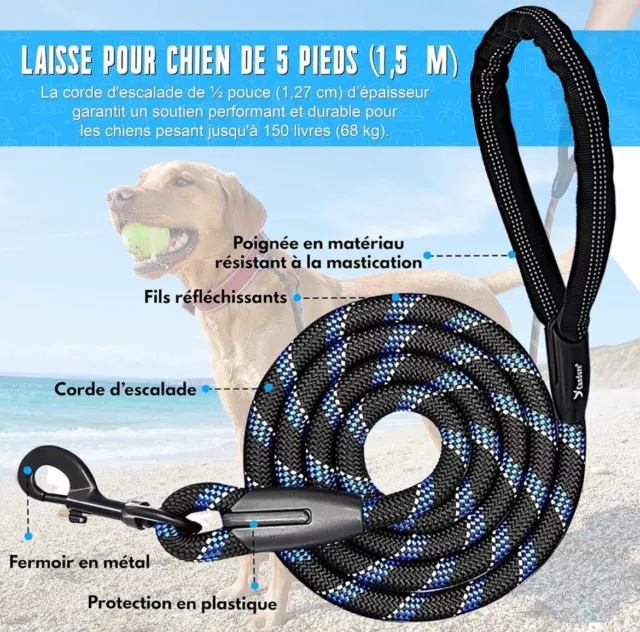 Laisse pour chien de taille moyenne avec poignée rembourrée douce, Laisse  solide avec fils hautement réfléchissants