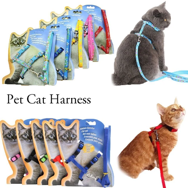 pour animaux de compagnie Ceinture de chien Harnais de collier de chat