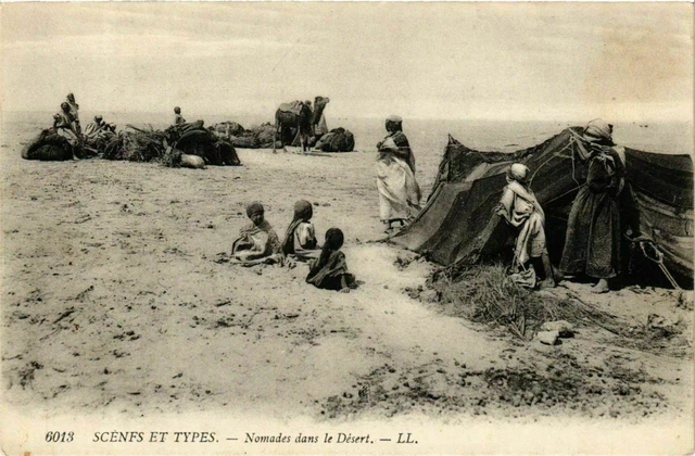 CPA AK Nomades dans le Désert ALGERIE (874233)