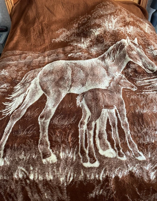 Mexican horse blanket hotsell