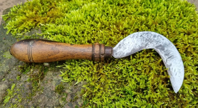 Alte Gärtner Sichel / Okuliermesser - Hippe - mit Hartholzgriff - um 1920 - E11