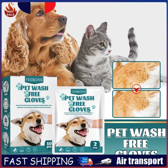 No Rinse Cat Dogs Cleaning Gloves Disposable Pet Stain Remover Wet Wipes (10pcs)