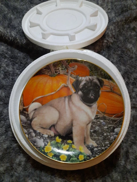 Retired Danbury Mint  Pug Limit Edition Plate PUMPKIN PATCH PUG  by Simon Mendez