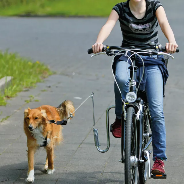 Flamingo Doggy Guide Fahrrad-Führhalter pour Chiens, Neuf 2