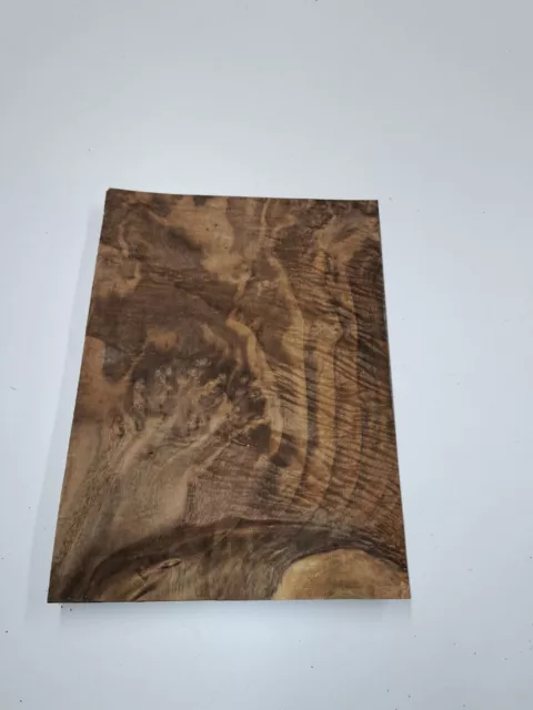 Natural Wood BURR Veneer Samples, HIGHEST QUALITY, A4, 300mm x 210mm, marquetry