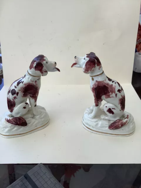 Pair Of Staffordshire Brown/white Dogs C1850