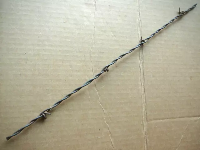 BLAKE'S FLAT TWO POINT OPEN LOOP BARB on ONE of TWO LINES -  ANTIQUE BARBED WIRE