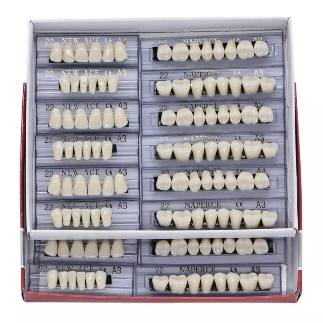 168pc/Box Acrylic Resin A2/A3 Dental Denture Teeth Upper Lower Shade Large Small