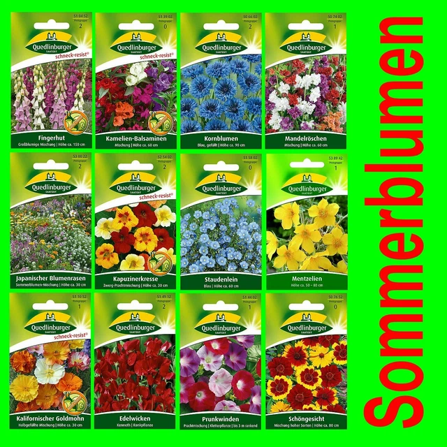 SOMMERBLUMEN MEHRJÄHRIG MISCHUNG Saatgut Bienenweide Blumenwiese