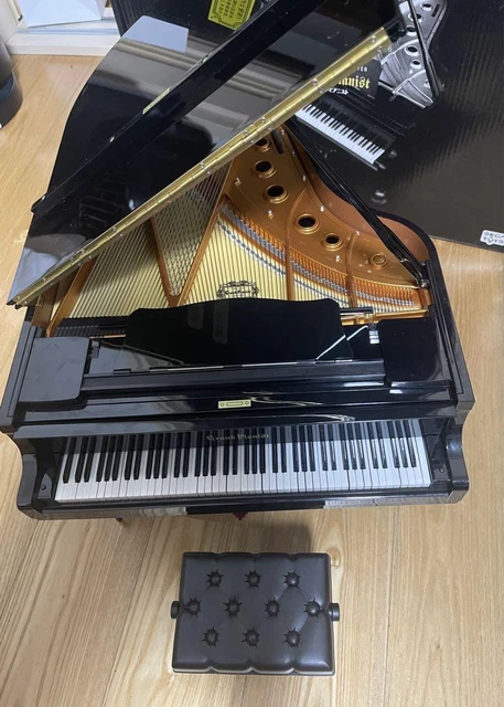 SEGA TOYS Black Grand Pianist 1/6 Scale Miniature Grand Piano From Japan USED #2