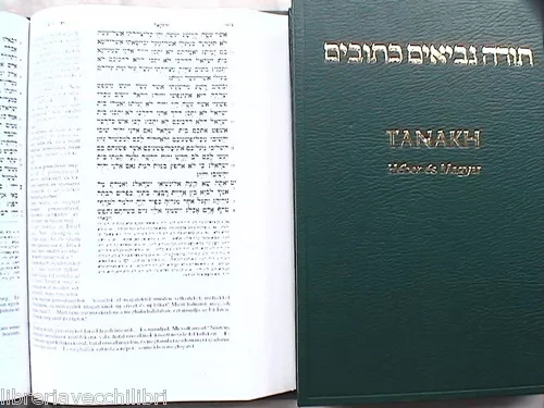 ANTICO TESTAMENTO EBRAICO UNGHERESE BIBBIA Lingua ebraica magiaro