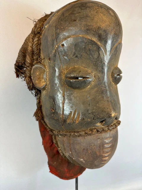 231048 - Old African Bulu monkey mask - Congo