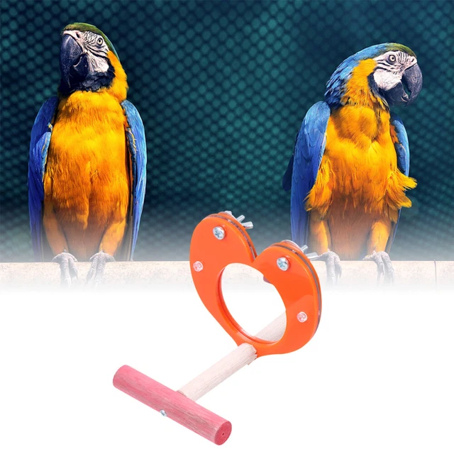Interactive Parrot Mirror Parrot Mirror Toy Bird Toys Natural