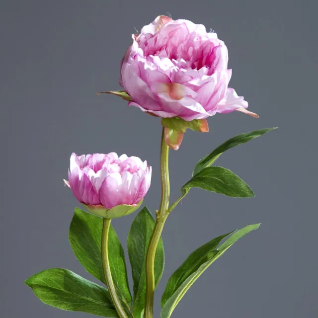 Pfingstrose mit 2 Blüten 60cm rosa-pink DP Kunstblumen künstliche Blumen Päonie