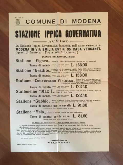 Manifesto Poster,1943,Modena Stazione Ippica Stallone Monta Cavallo Fascismo
