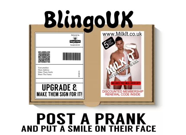 Man Milk Box Prank Postal Box, Gag Gift -Funny Birthday - Practical Joke Direct