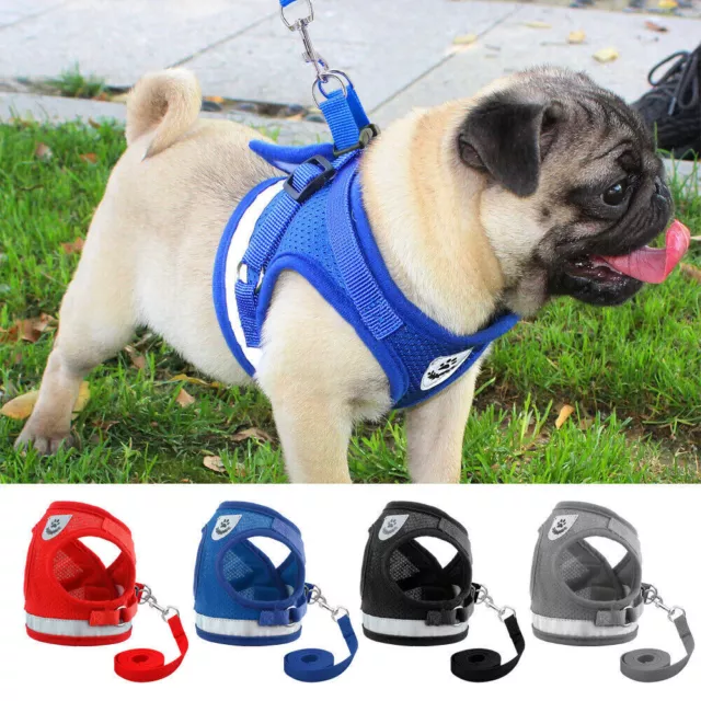 Small Dog Pet Puppy Harness And Leash Set Breathable Mesh Vest Chest Strap XS-XL