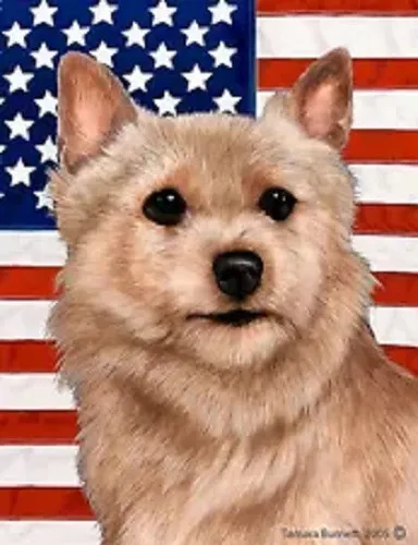 Patriotic (D2) Garden Flag - Wheaten Norwich Terrier