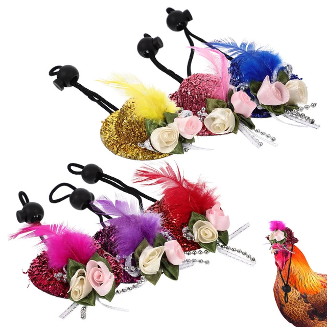 6 Pcs Pet Chicken Hat Adjustable Hen Bearded Dragon Costume Top
