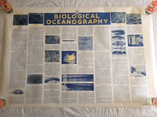 Vintage 1960’s Department Of The Navy Pilot Charts Maps Of North Atlantic Ocean