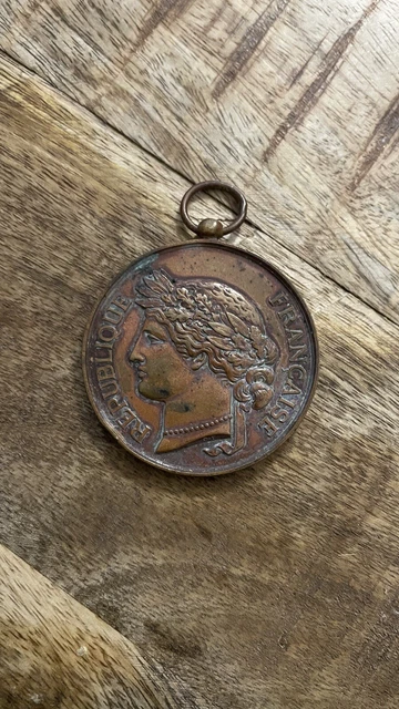 Médaille D'Honneur Société Nationale Du Tir Des Communes De France - Vintage