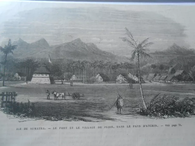 Gravure 1874 - Ile de Sumatra Le port et le village de Pédir Indonésia