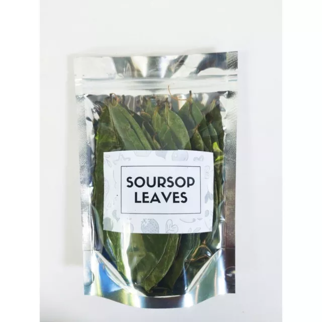 200+ Dried Soursop LEAVES 🌿 Ceylon Tea ☕ Annona HOJAS DE GUANABANA GRAVIOLA