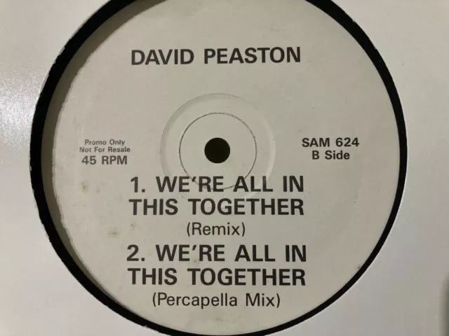 David Peaston - We're All In This Together Rare UK 12" Promo Vinyl 1990 R&B Soul