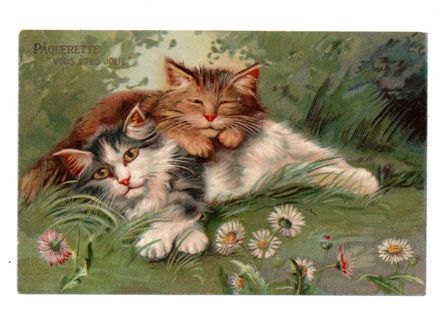 Maurice Panettiere Sans Signature. Gatti. Margherita Vous Bist Jolie