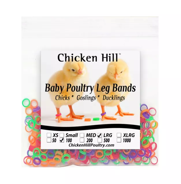 100+ Chick Leg Bands ~ 5/16" Size 5 Large Poultry Chickens Ducks Geese