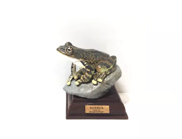Kitan Club Japan Exclusive Kajika Frog Animal Figure