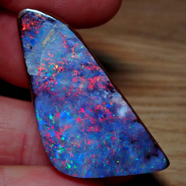 AAA+ Boulder Opal Anhänger aus Australien, 81.95 ct - 16,39g - 45,49 x 23,72 x 1