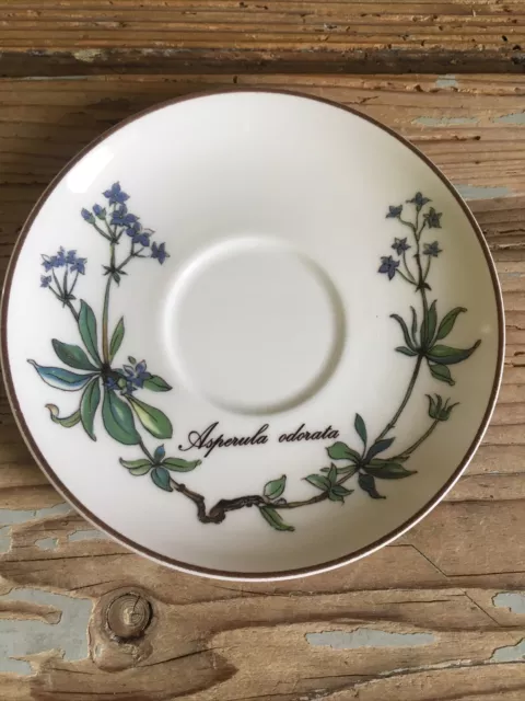 Villeroy & Boch porcellana 1 piattino piatto tazza caffè serie Botanica  B)