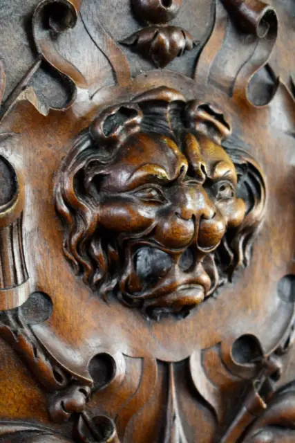French Antique Hand Carved Wood Cupboard / Closet Door - Lion head - 19th 7