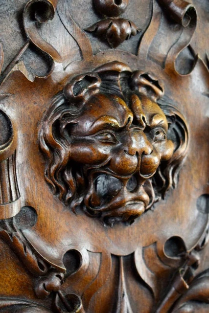 French Antique Hand Carved Wood Cupboard / Closet Door - Lion head - 19th 7