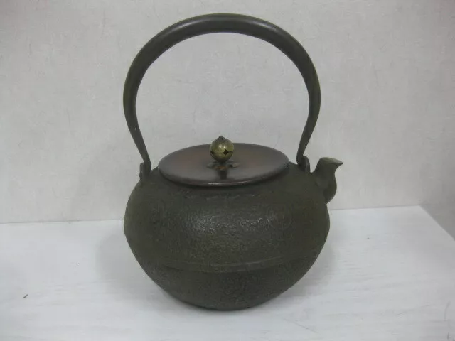 Y0041 TETSUBIN Old coin pattern Iron Tea Kettle Teapot Japan antique