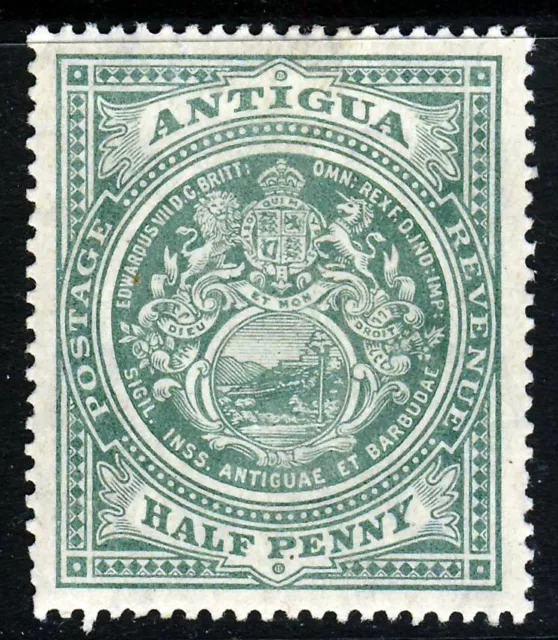 ANTIGUA 1908 Half Penny Green Wmk Multiple Crown CA SG 41 MINT