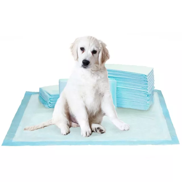 100 Puppy Training Pads 76 x 58cm  Extra Large