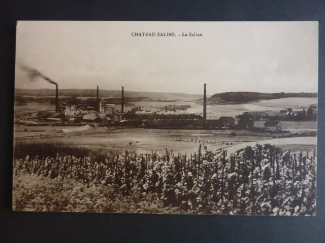 CHATEAU SALINS Moselle CPA 57 la saline