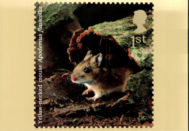 (38840) Postcard Mouse Royal Mail issued in 2004