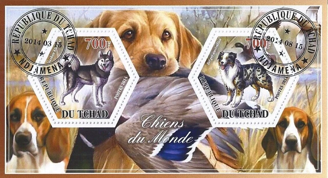 Block Used Dogs Dog