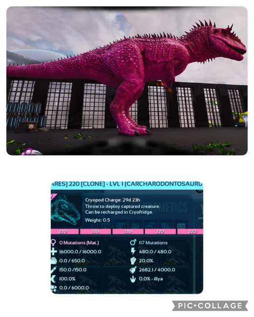 ARK Survival Ascended PvE - Nuovo Pet Cat Clone Per PC, Xbox Series X|S, PS5 - ASA
