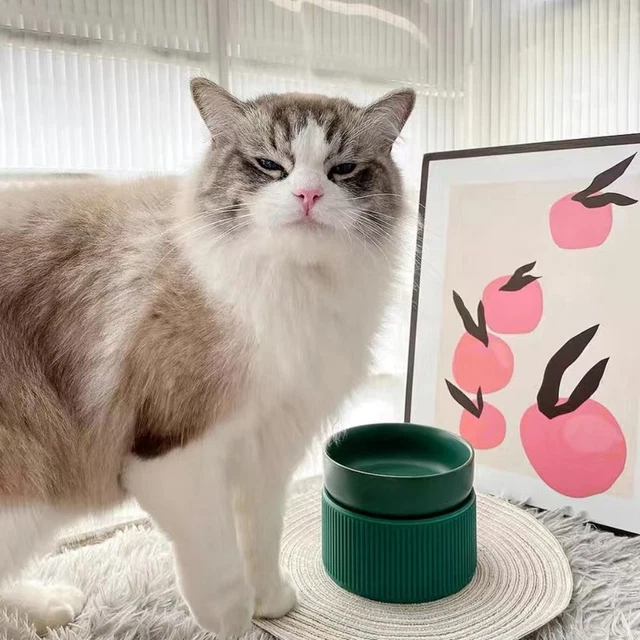 Tazón anti vuelco para gatos mascota tazón de agua gatos alimentador de alimentos para gatitos lavabo de comida