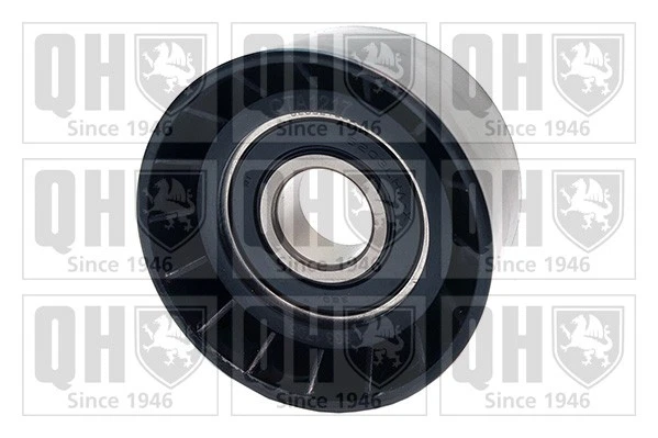 AUX BELT IDLER Pulley fits RENAULT TRAFIC Mk2 2.5D 01 to 10 Guide ...