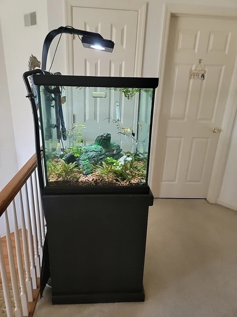 60 Gallon Cube Aquarium Set